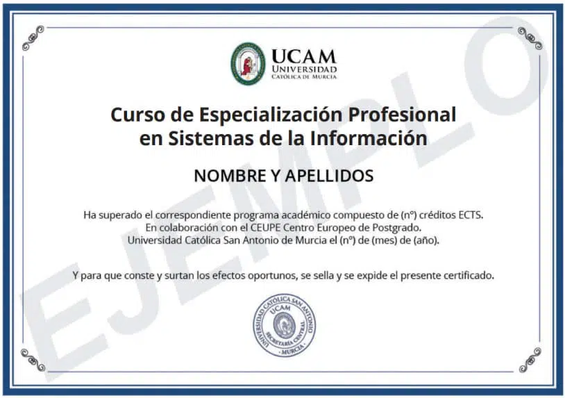 Titulación Europea Internacional - UCAM